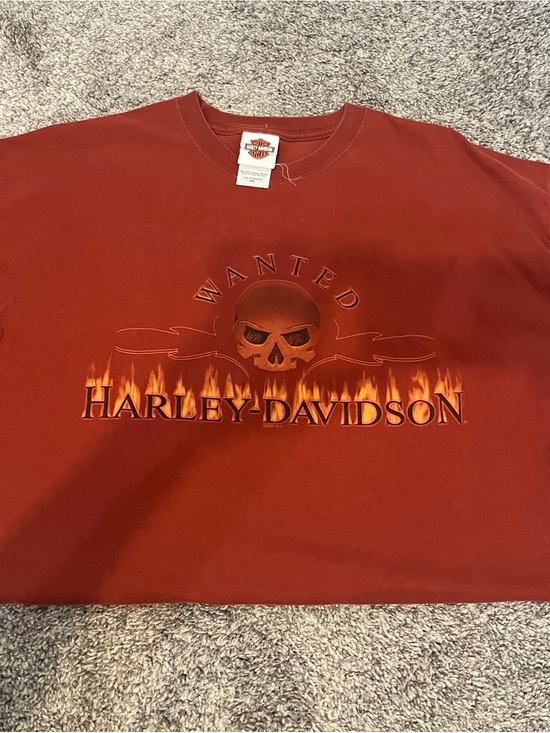 Harley-Davidson Other - Harley-Davidson Dark Red Skull & Flame Graphic Tee